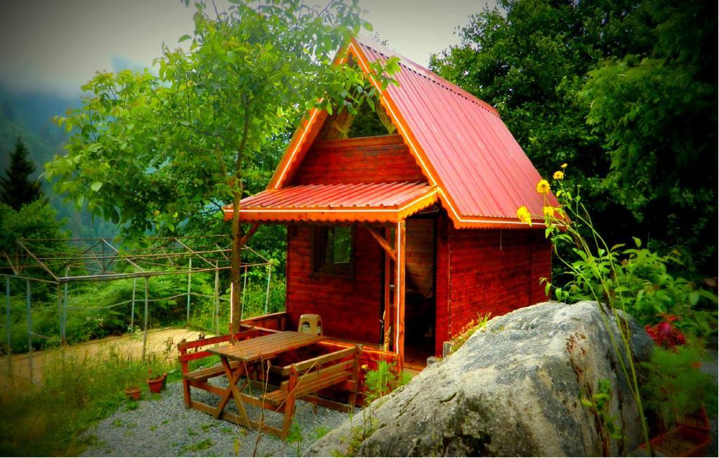 Ayder Selale Dag Evleri Ayder Yaylasi Quarto foto