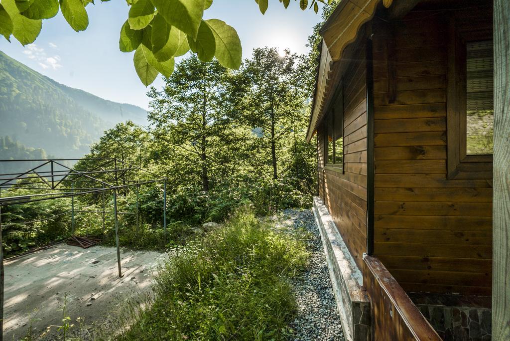 Ayder Selale Dag Evleri Ayder Yaylasi Exterior foto